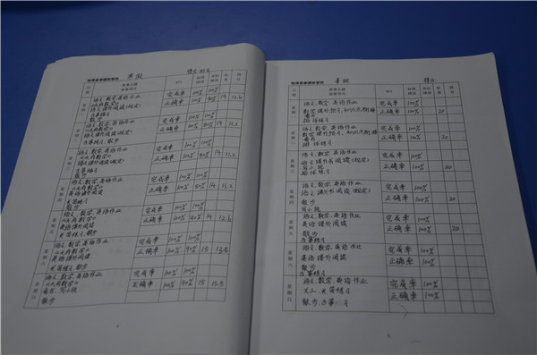 成都美视国际教育,成都美视国际私立小学