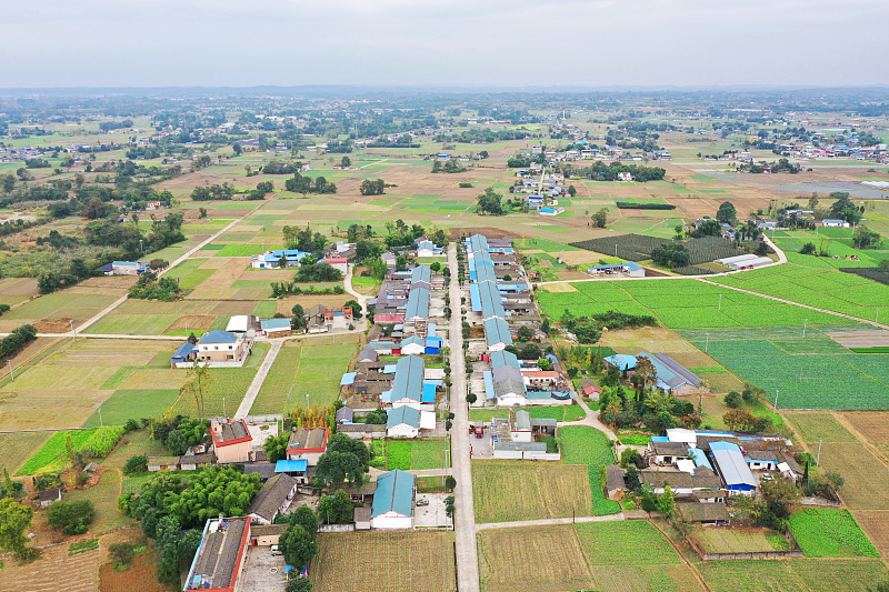 城市子女回老家建房,城市子女继承农村房屋