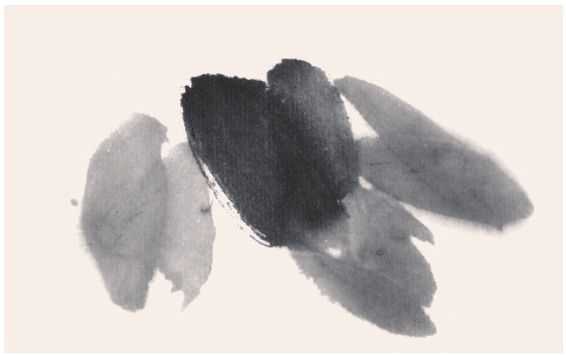 国画牡丹叶子的画法一窍不通,如何画牡丹花叶子和枝干国画视频