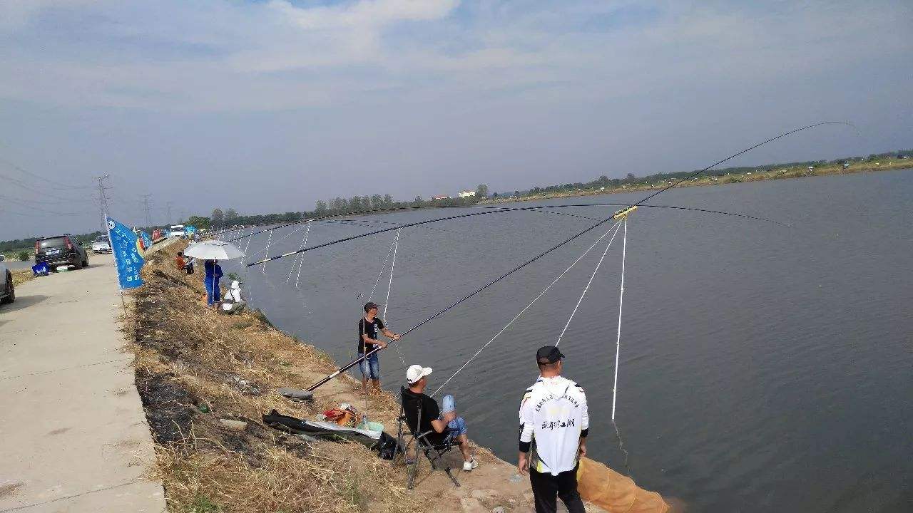 国产鱼竿哪个品牌的比较好,国产鱼竿哪个价格实惠