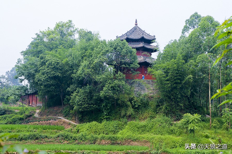 鏉庡簞鍙ら晣鍥涚粷寤虹瓚,鍙ゅ缓涔嬫梾