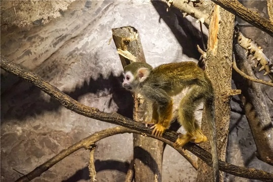 在成都生活如此的美好,在成都生活真好