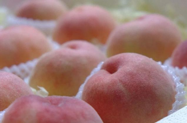 真正的阳山水蜜桃,阳山水蜜桃真的有那么好吃吗