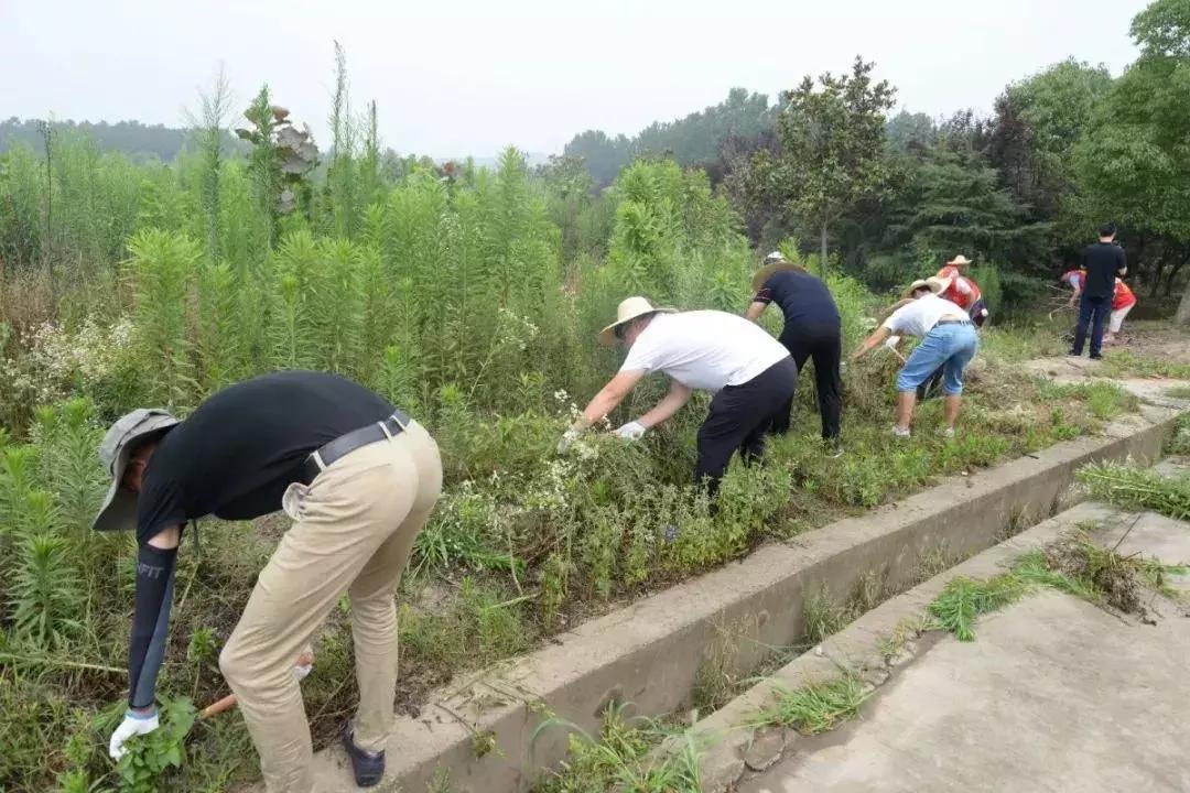 栖霞公路环境整治,栖霞市综合治理