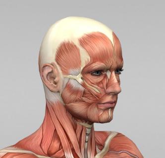 关于接吻9个冷知识,关于接吻的10个冷知识