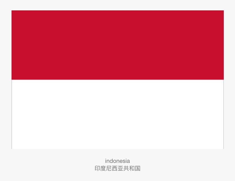 亚洲国家国旗有哪些,亚洲国家国旗讲解