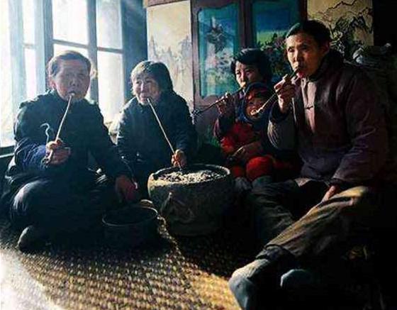 林场，我记忆的沟回