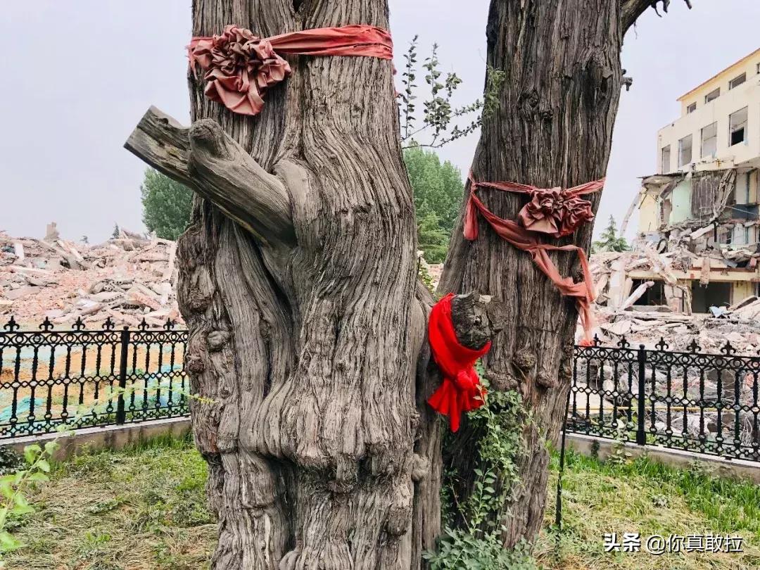 临沂骨科医院搬迁到哪里,临沂市骨科医院搬迁到哪里了