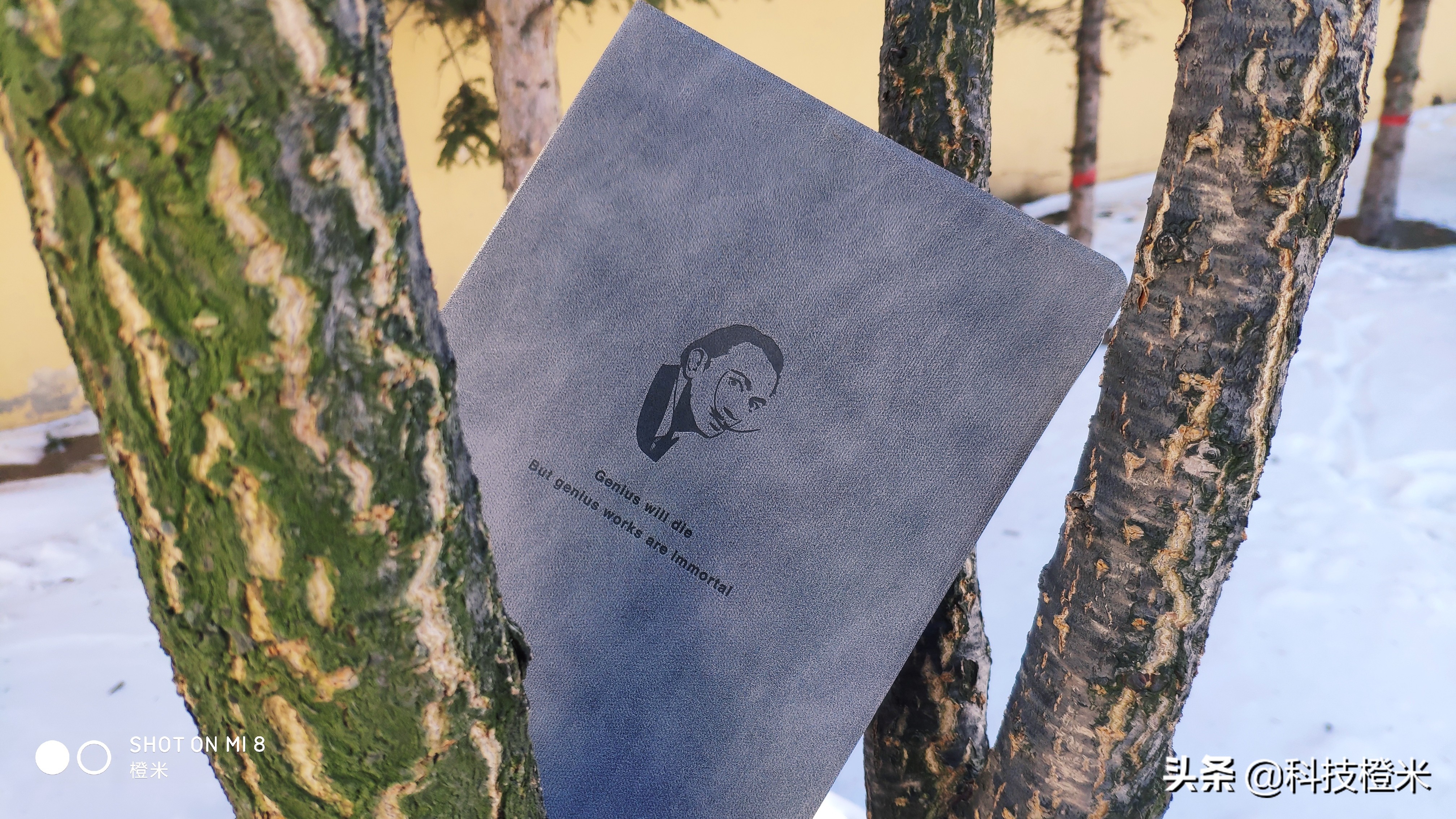 36记智能手写本使用方法,36记智能手写