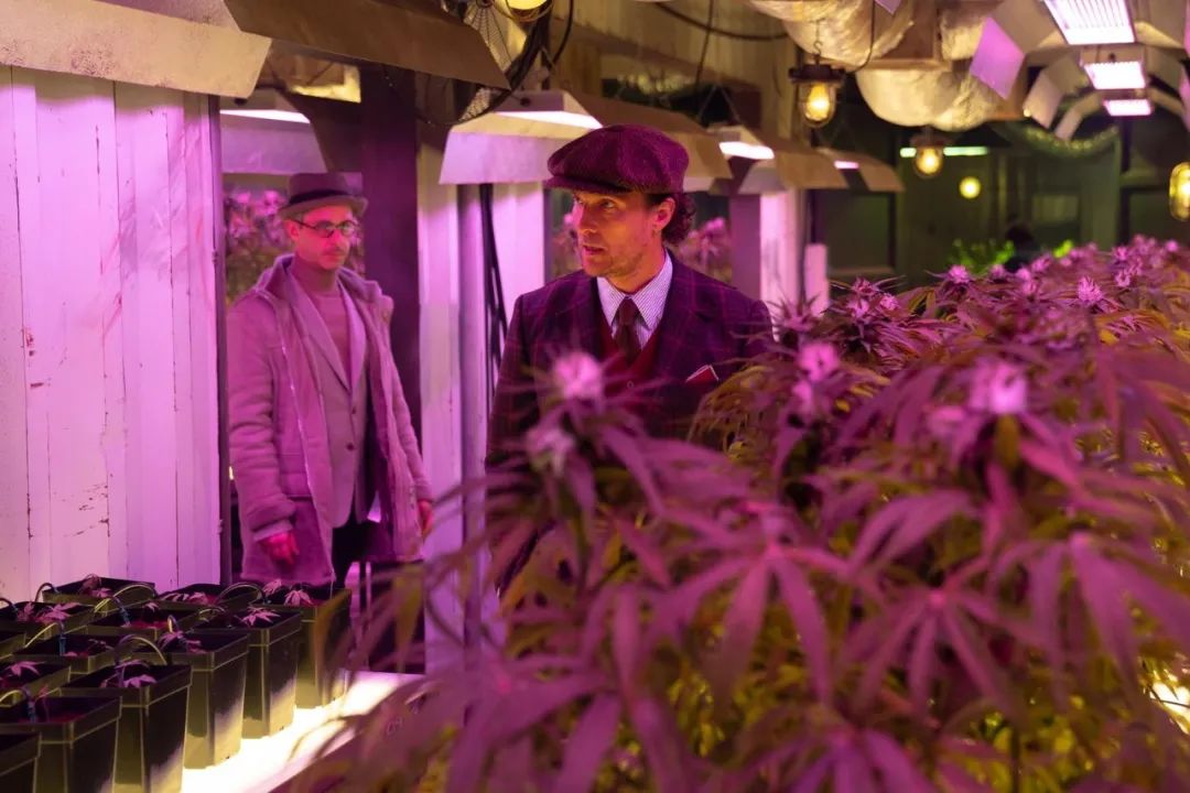 盖里奇绅士们超清完整版,盖里奇绅士们电视剧版第二季