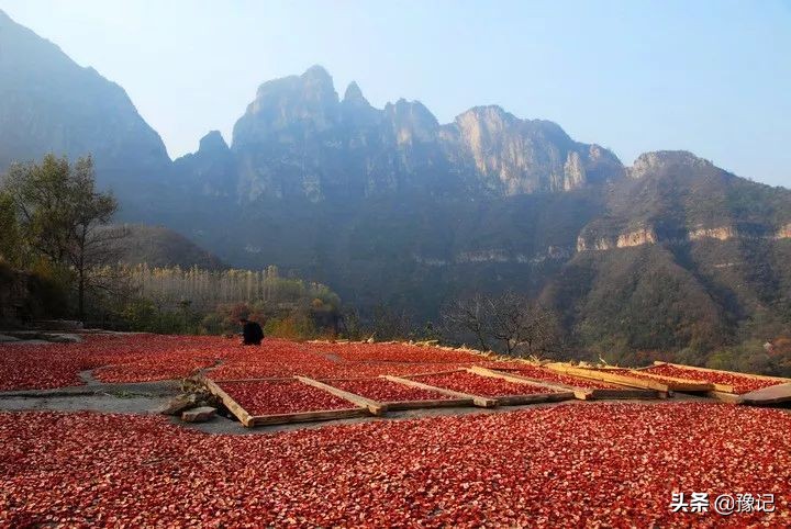 辉县不上山能去哪里旅游,辉县为什么不叫百泉市