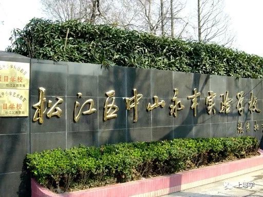 上海松江区小学排名一览表,2020上海松江区小学