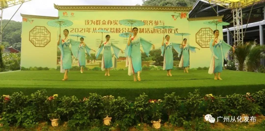 广州从化荔枝公益系列,广州从化公益荔枝