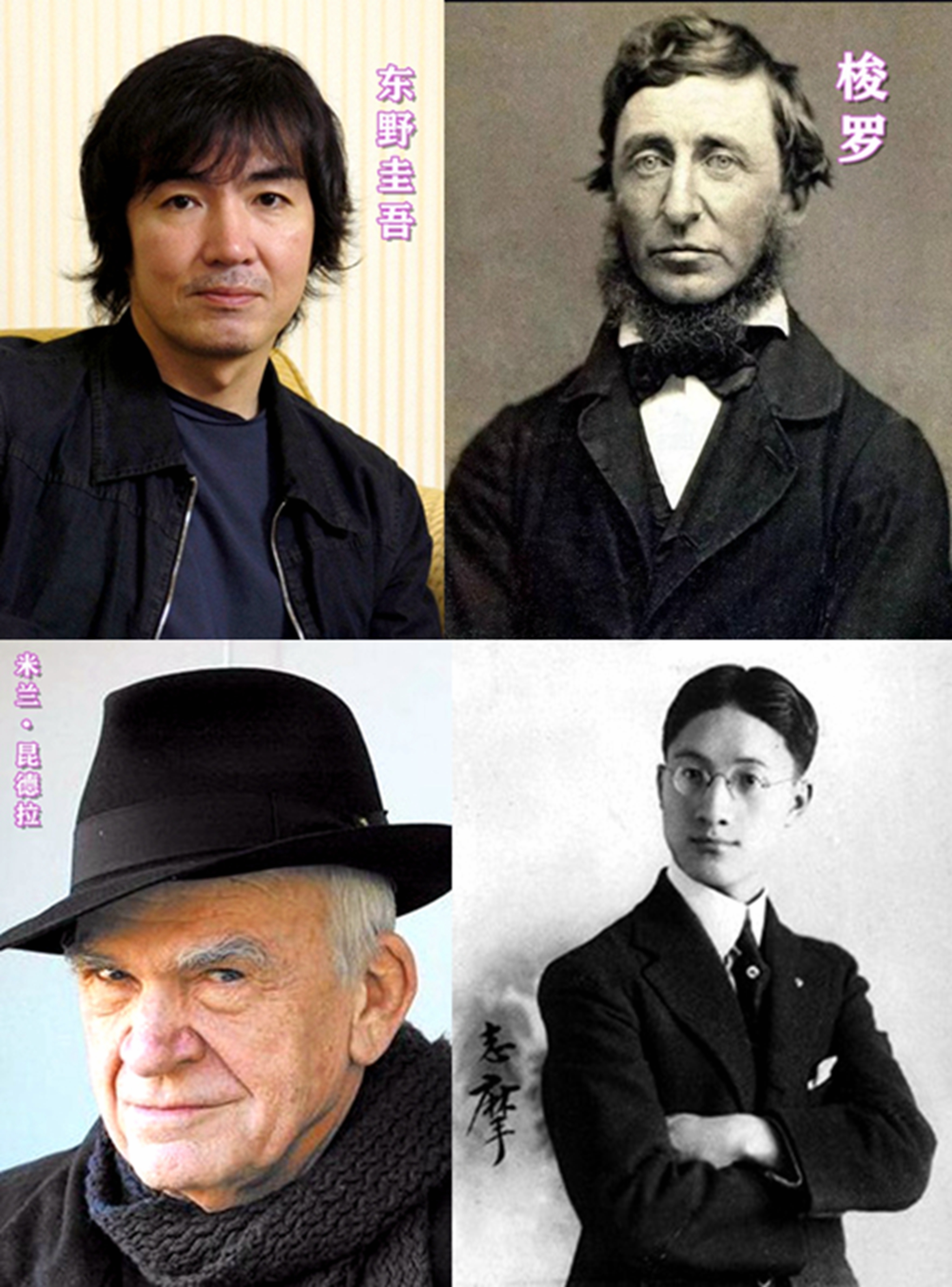 王晓晨气质绝美,王晓晨大气甜美知性率真