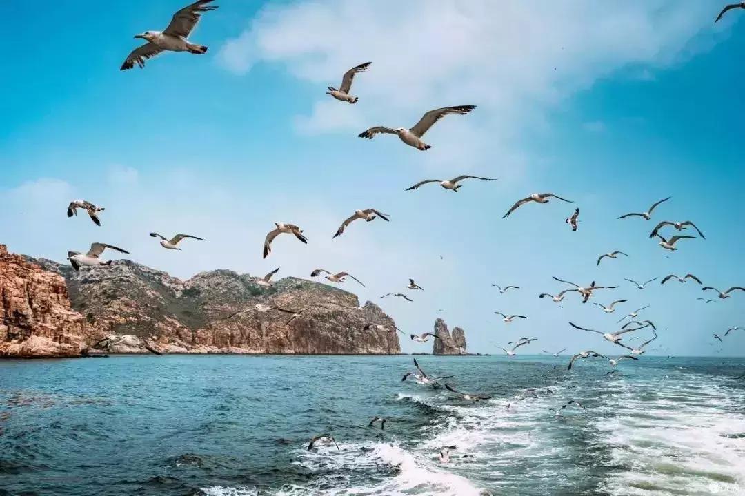 天津最适合旅游的小岛,不去景点北戴河怎么玩