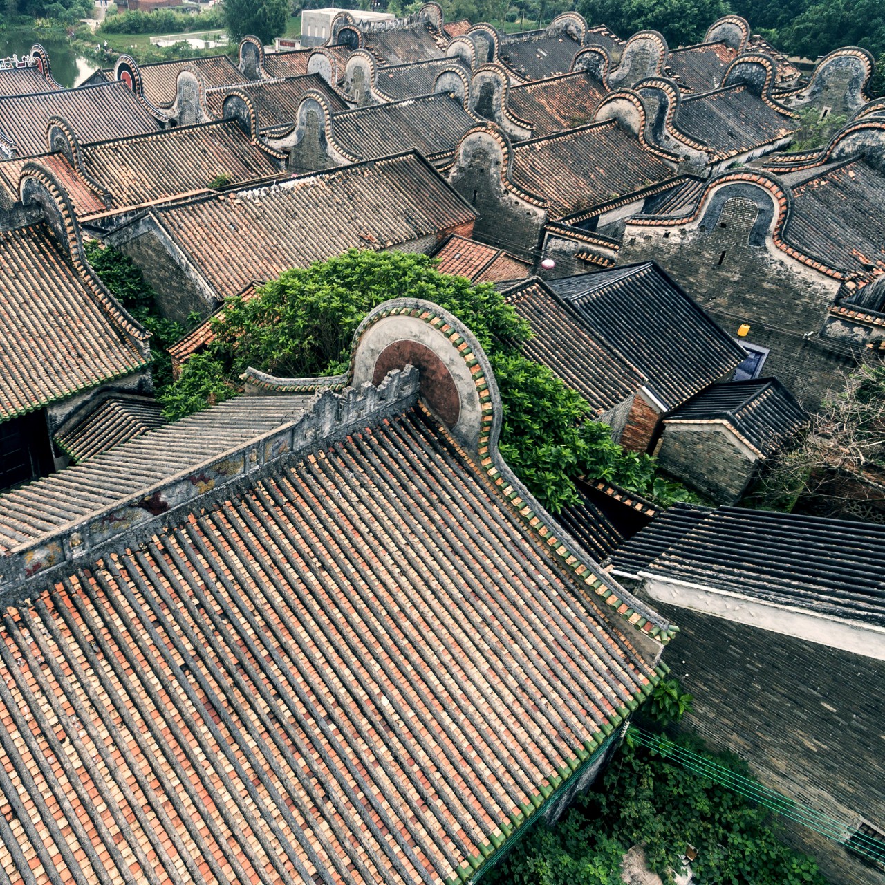 佛山是怎么成为武术之乡的？