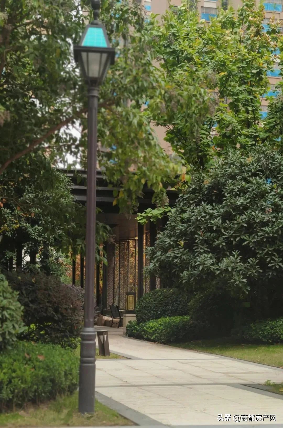 瀹炴帰鎴愮啛鏉垮潡,瀹炴帰杩愭渤鏂板煄鏉垮潡