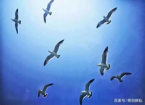 大连有什么小岛好玩,大连有美丽的地方