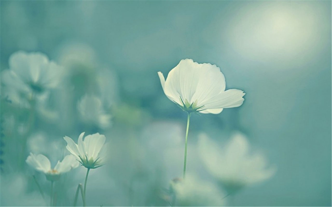 低谷不可怕四句话,当你被人看不起