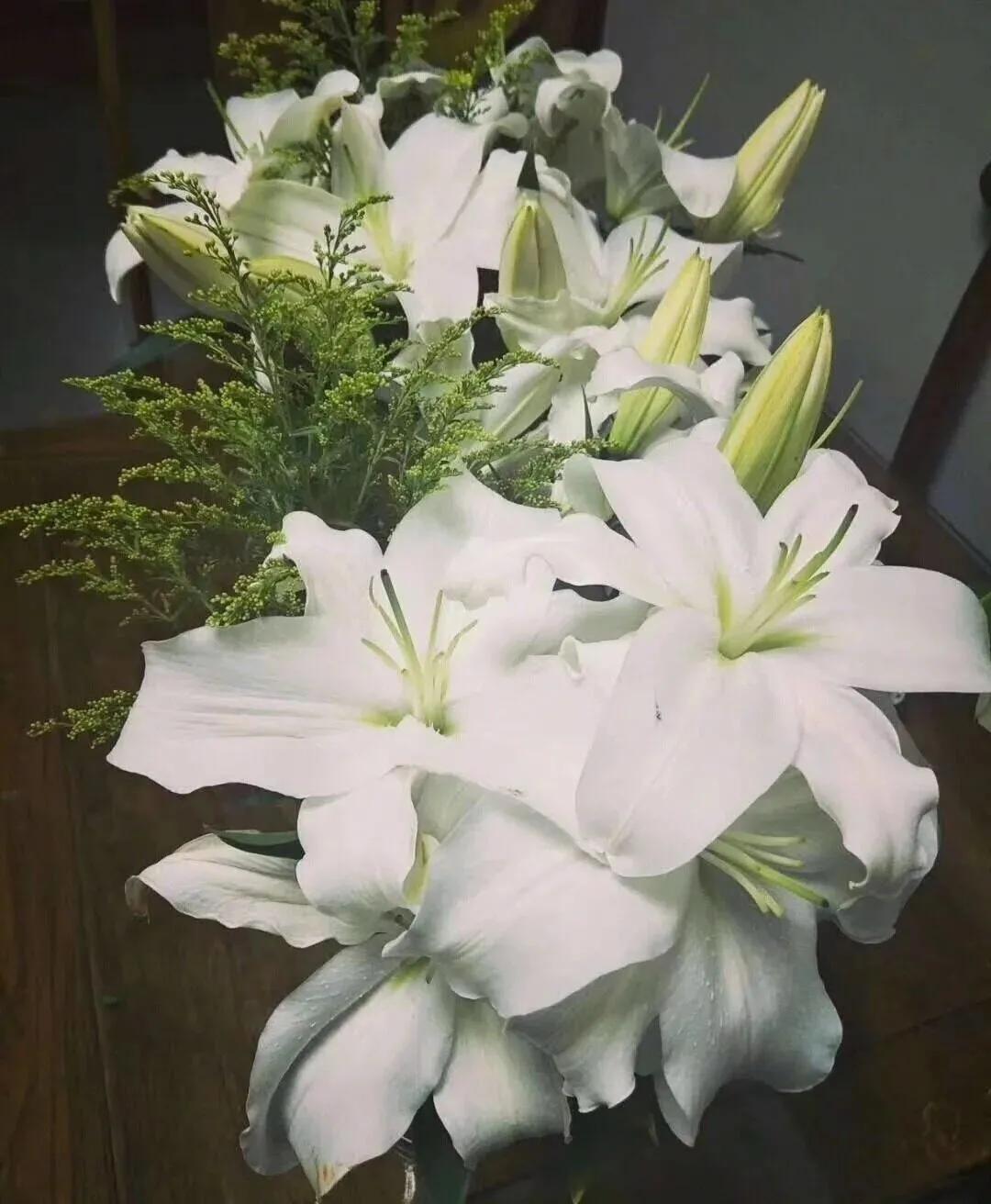 香水百合鲜切花云南鲜花基地,什么颜色的百合最好养活