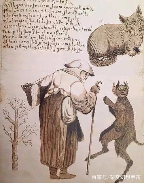 你不知道的猫咪事情,你不知道的猫咪睡姿大揭秘