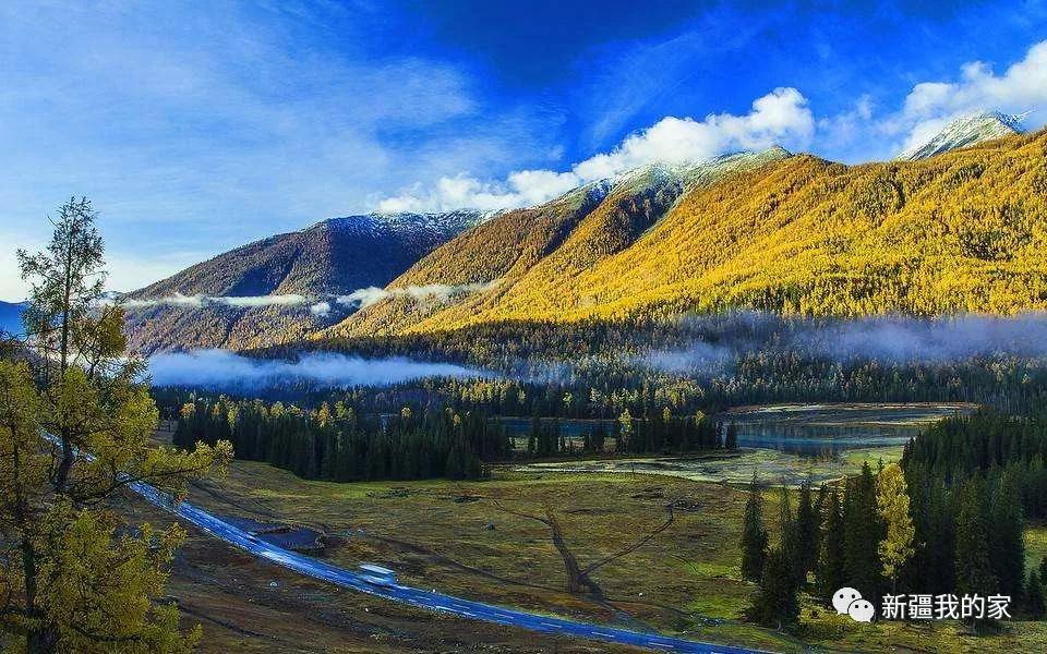 一封手写辞职信火了300万网友点赞,又一封辞职信刷爆朋友圈