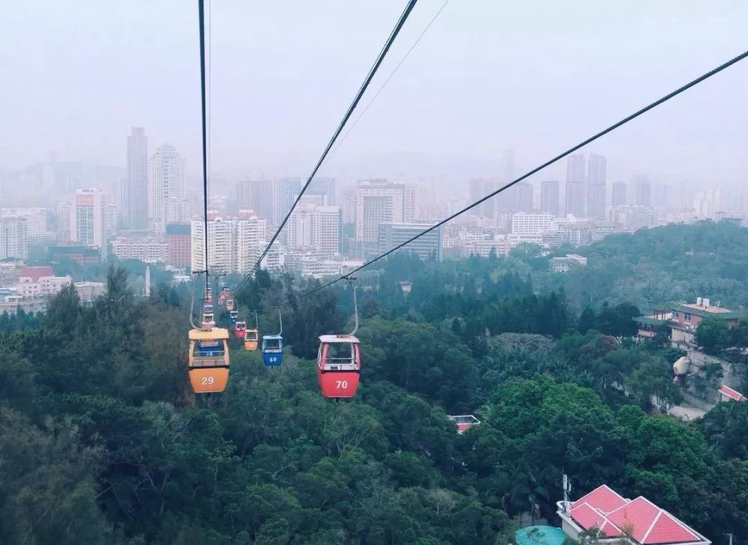 这个夏天一定要去趟厦门,夏天去厦门值得去吗