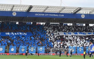 足球的情人节,足球狗的浪漫