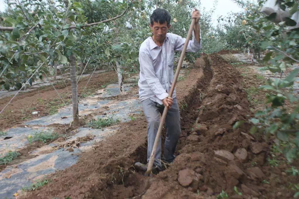 鉴别假化肥的方法,还有哪些辨别假劣化肥的方法