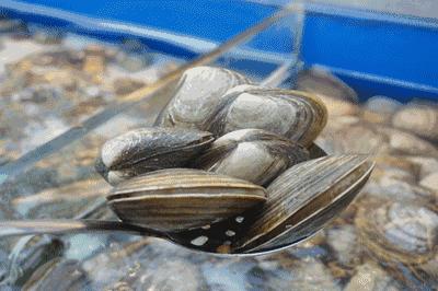 宁波杭州湾世纪城在哪个区,宁波杭州湾新区发展历程