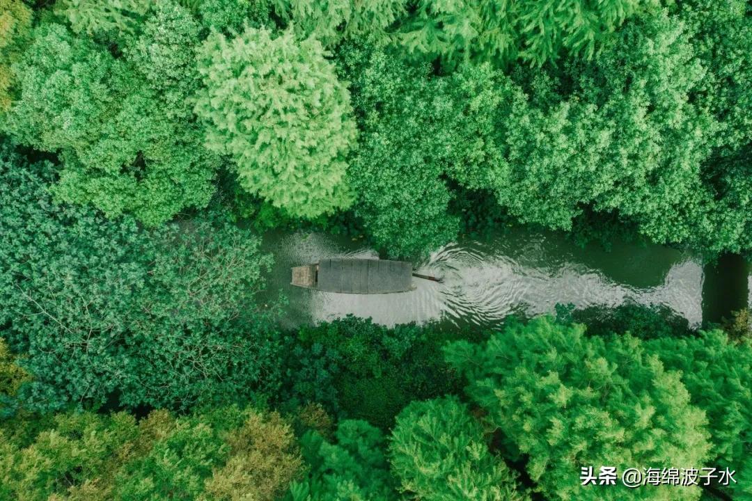 对比全国苏州教育,苏州市区教育排名