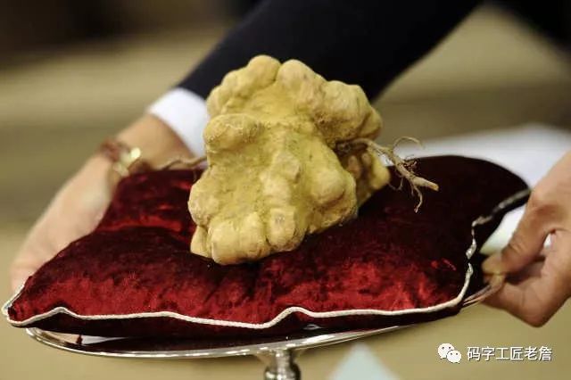 地道美味松露,世界三大美食松露是什么
