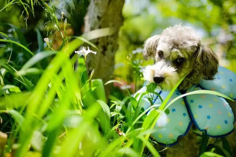 李妍现在怎么样了,李妍是一个怎么样的人