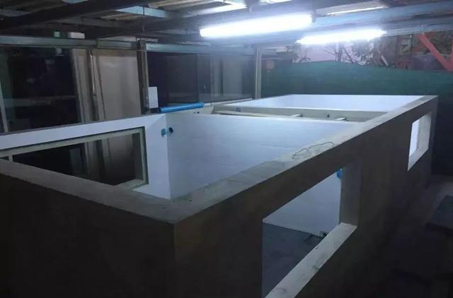 国外某熊孩子自告奋勇去擦缸把龙鱼吓脱臼了！