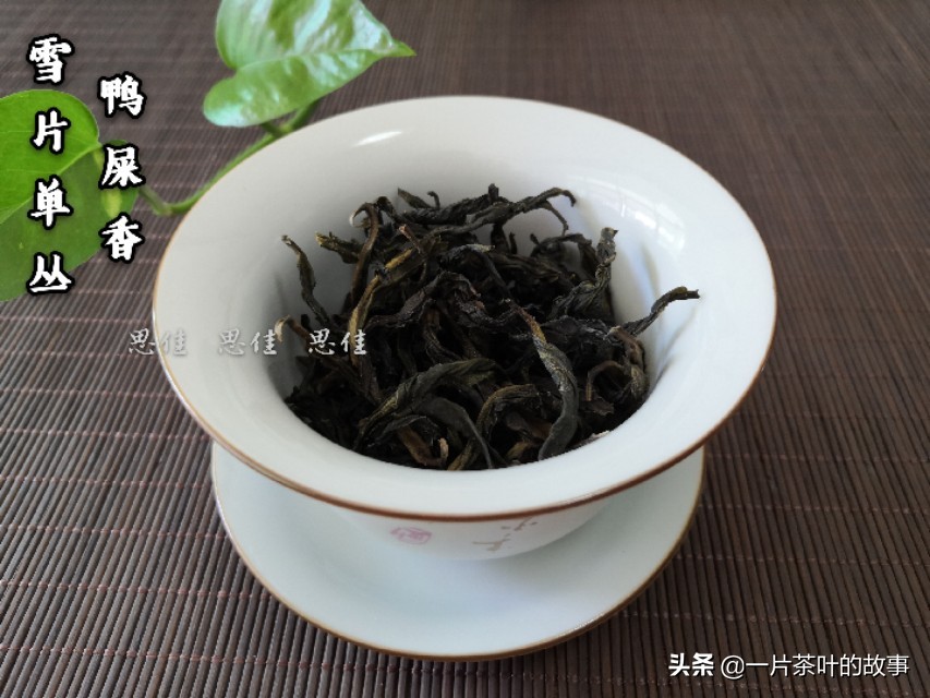 凤凰单丛鸭屎香柠檬茶冲泡方法,凤凰单丛鸭屎香茶最佳冲泡方法
