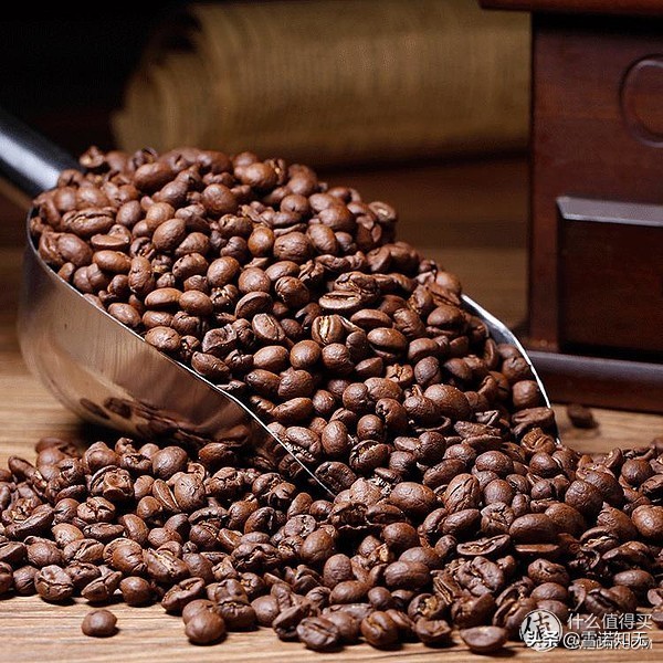 星巴克点单热饮攻略哪些好喝,星巴克新手怎么点便宜又好喝