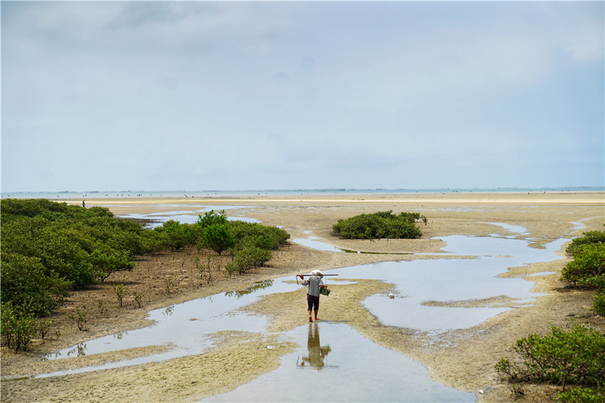 广西性价比好的海边城市,广西海边宜居的有哪些城市
