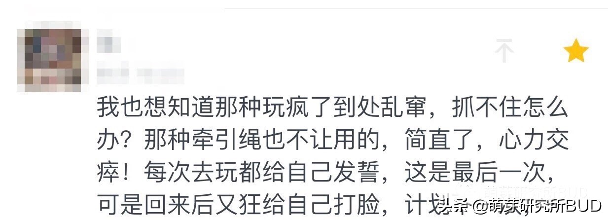 孩子总是跑出去玩怎么办,孩子整天疯玩怎么办