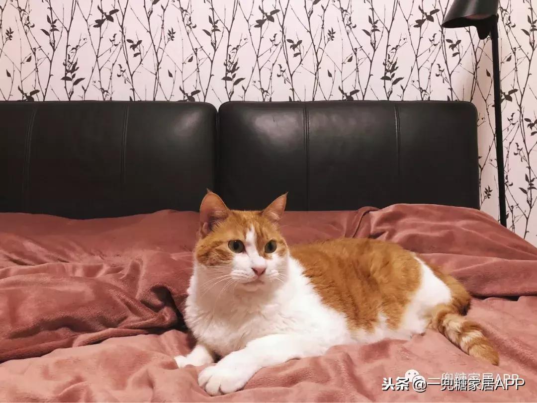 冬天必备的超级好物,冬天必备好物分享