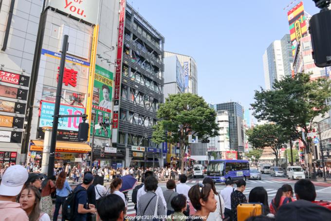 东京买买买的地方 (东京便利店买买买)