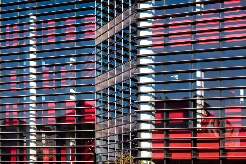 天津泰达一中——神奇的“麻花辫”