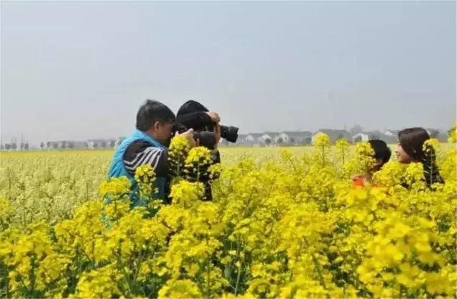 鑻忓窞鐪嬫ū鑺辩殑閰掑簵,鑻忓窞鐪嬫ū鑺变綇鍝釜閰掑簵