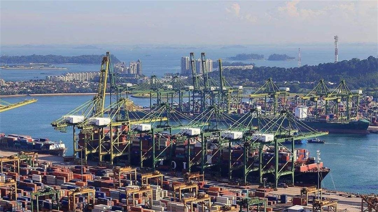 想将不合格的奶粉“混进”我国市场，严惩不贷，中国不是好欺负的