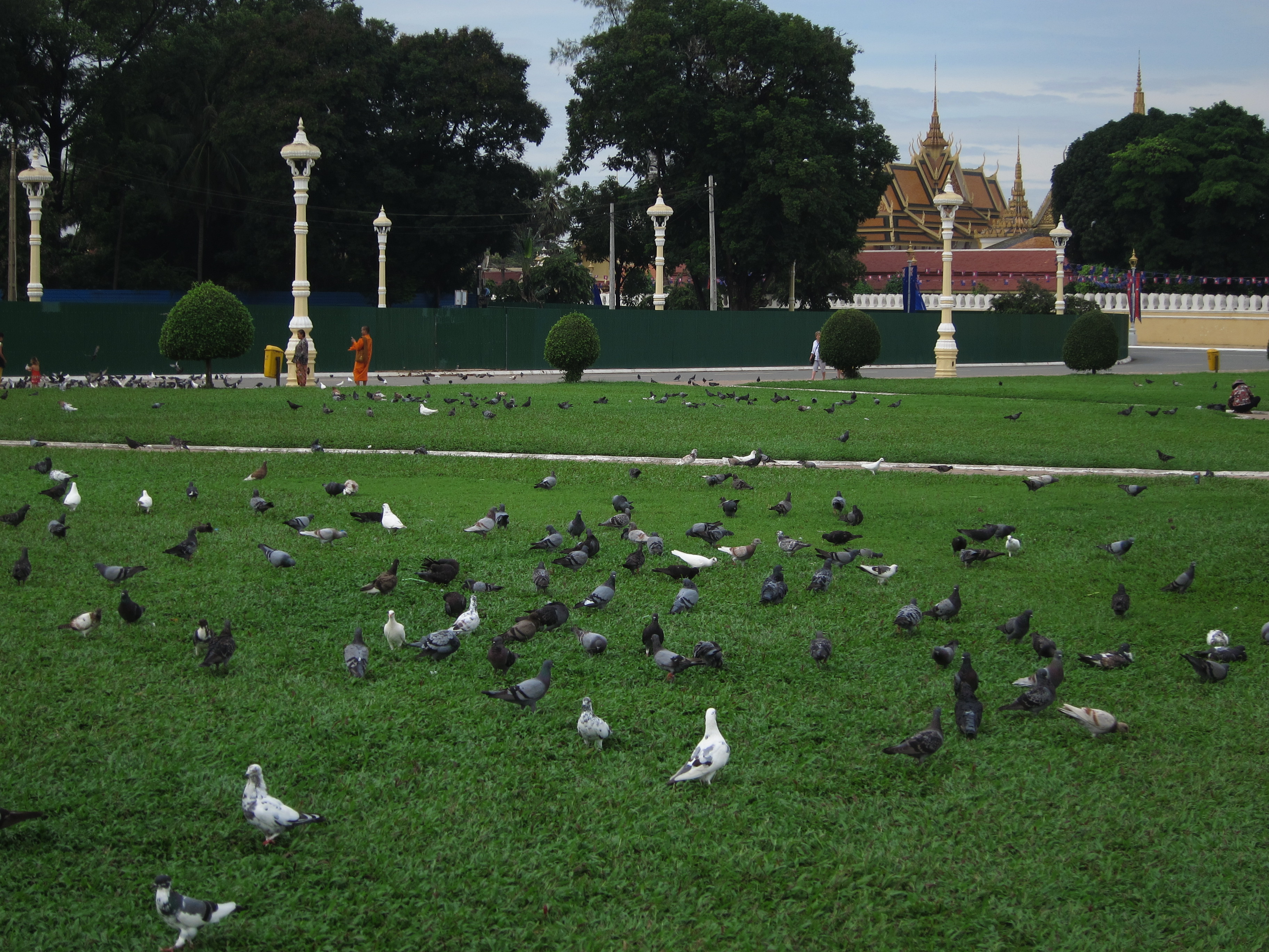 中国小伙在柬埔寨的视频,骑行去柬埔寨的小伙