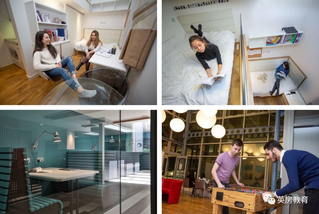 常春藤名校毕业生,70%的学生进入高职