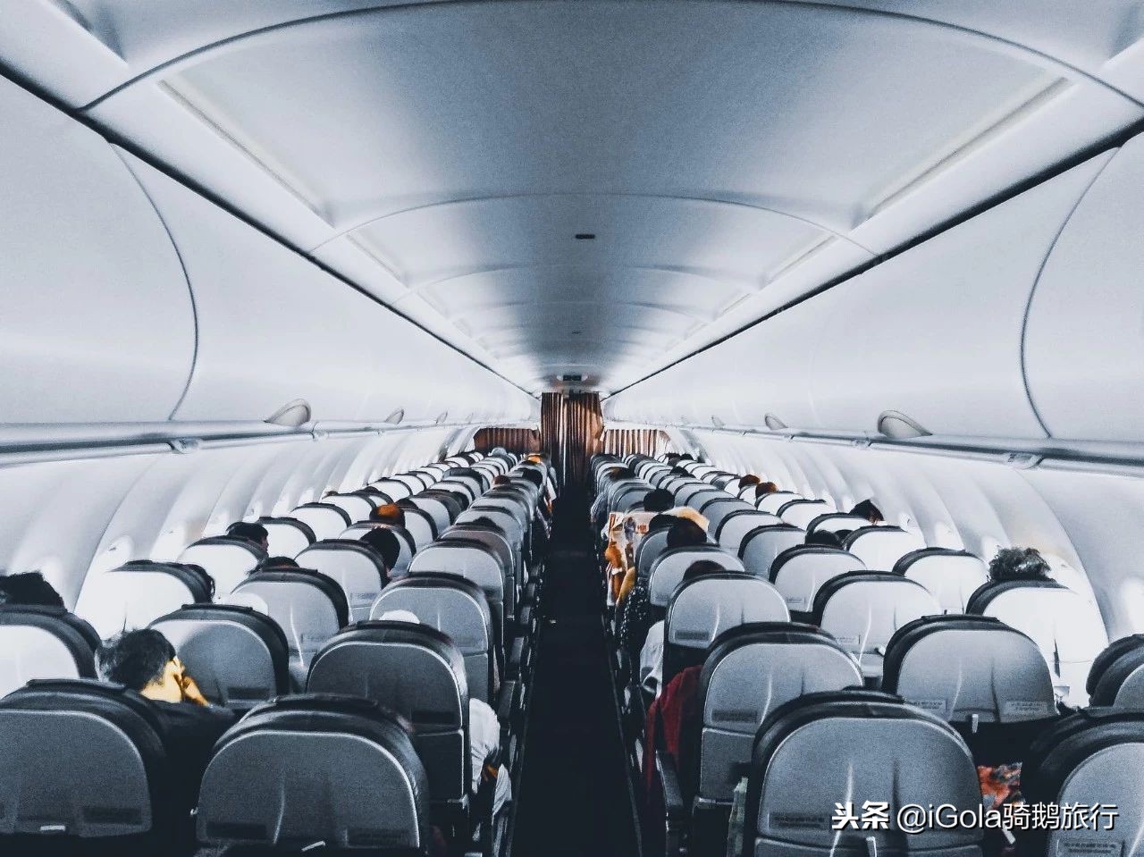 廉航低成本航空,廉航与普通航空选择