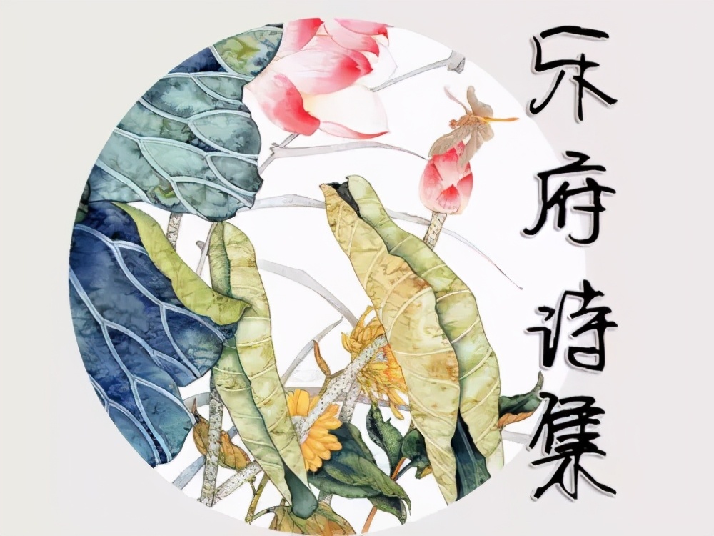 中国古诗词欣赏全部,先秦两汉经典诗词语录