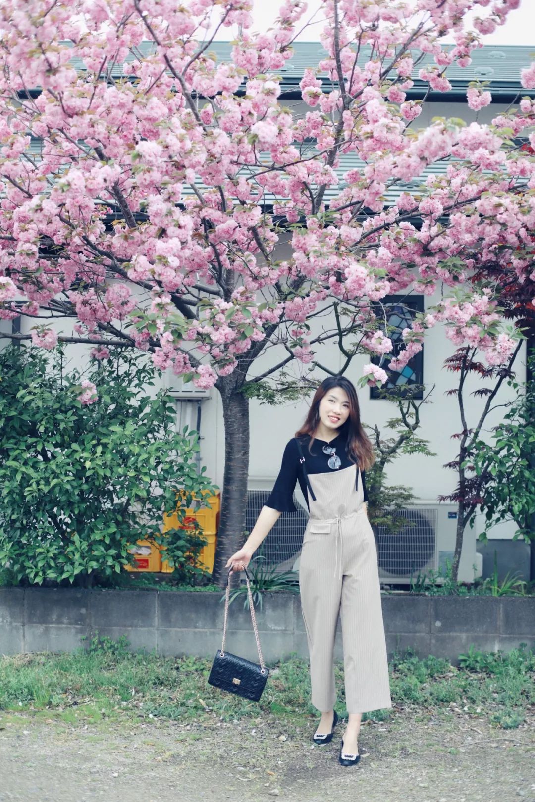 带着父母去旅行完整,带父母五天的旅行