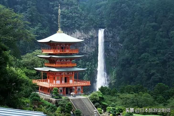日本最美小景点,日本超美的花海美景