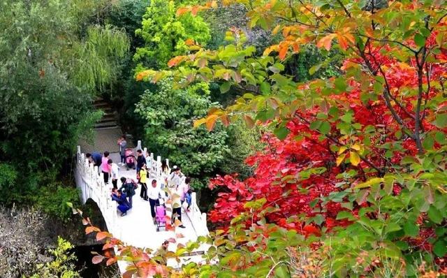 济南旅游景点推荐带孩子玩,济南旅游景点推荐适合带孩子